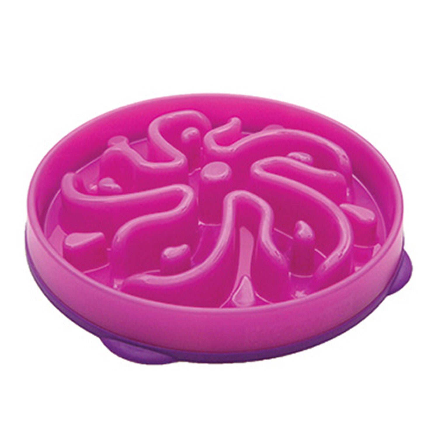 Outward Hound Slo-Bowl Slow Feeder Purple