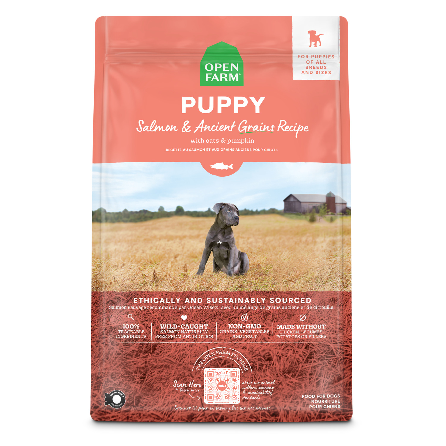 Open Farm Puppy Salmon & Ancient Grains Recipe Dry Dog Food