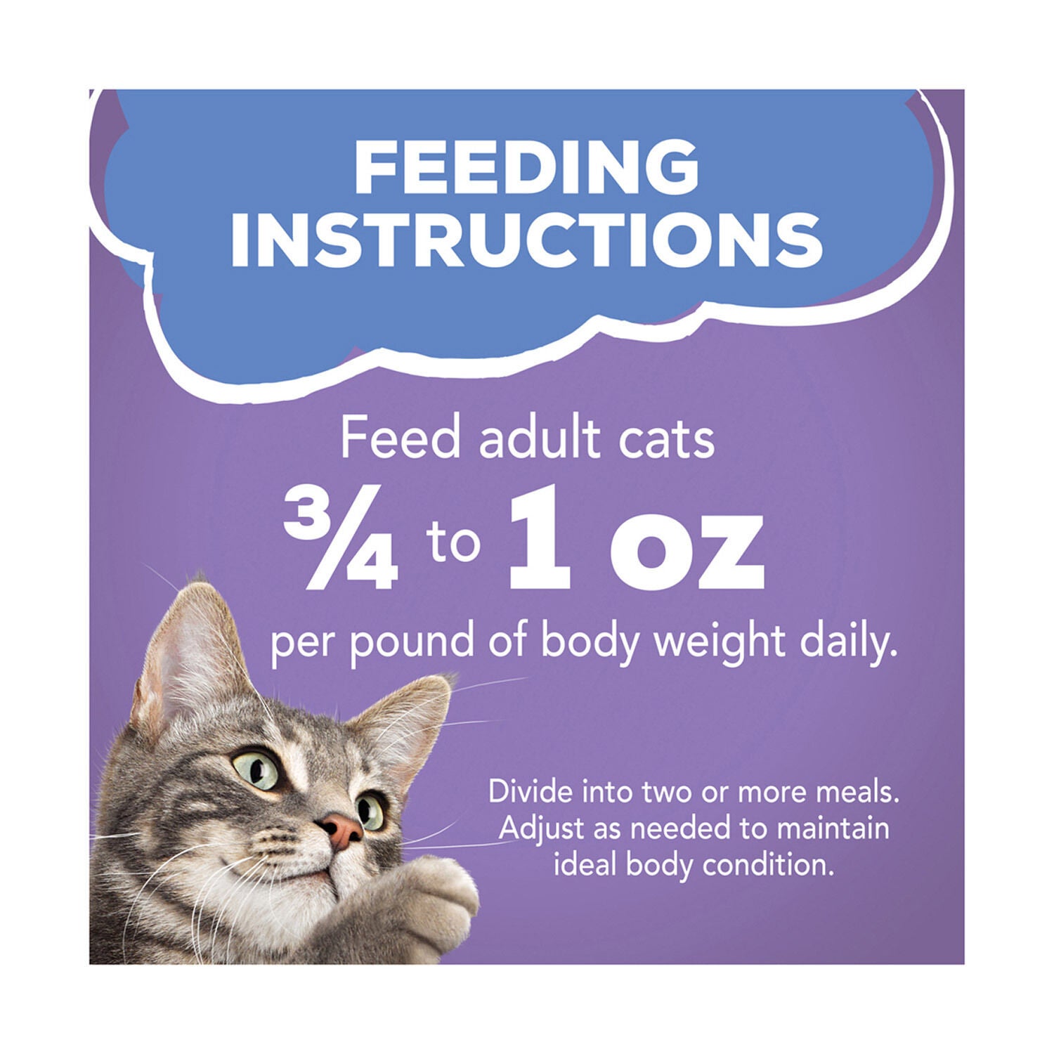 Shreds Turkey Cheese Dinner In Gravy 5.5oz Pet Supermarket