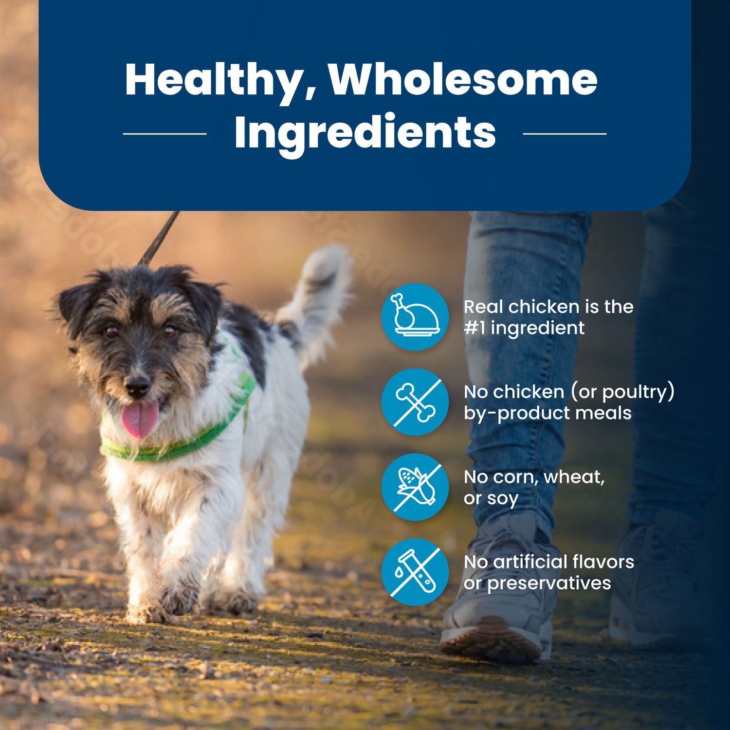 Blue Buffalo Life Protection Formula Natural Adult Small Bite Dry Dog Food, Chicken And Brown Rice, 30-Lb