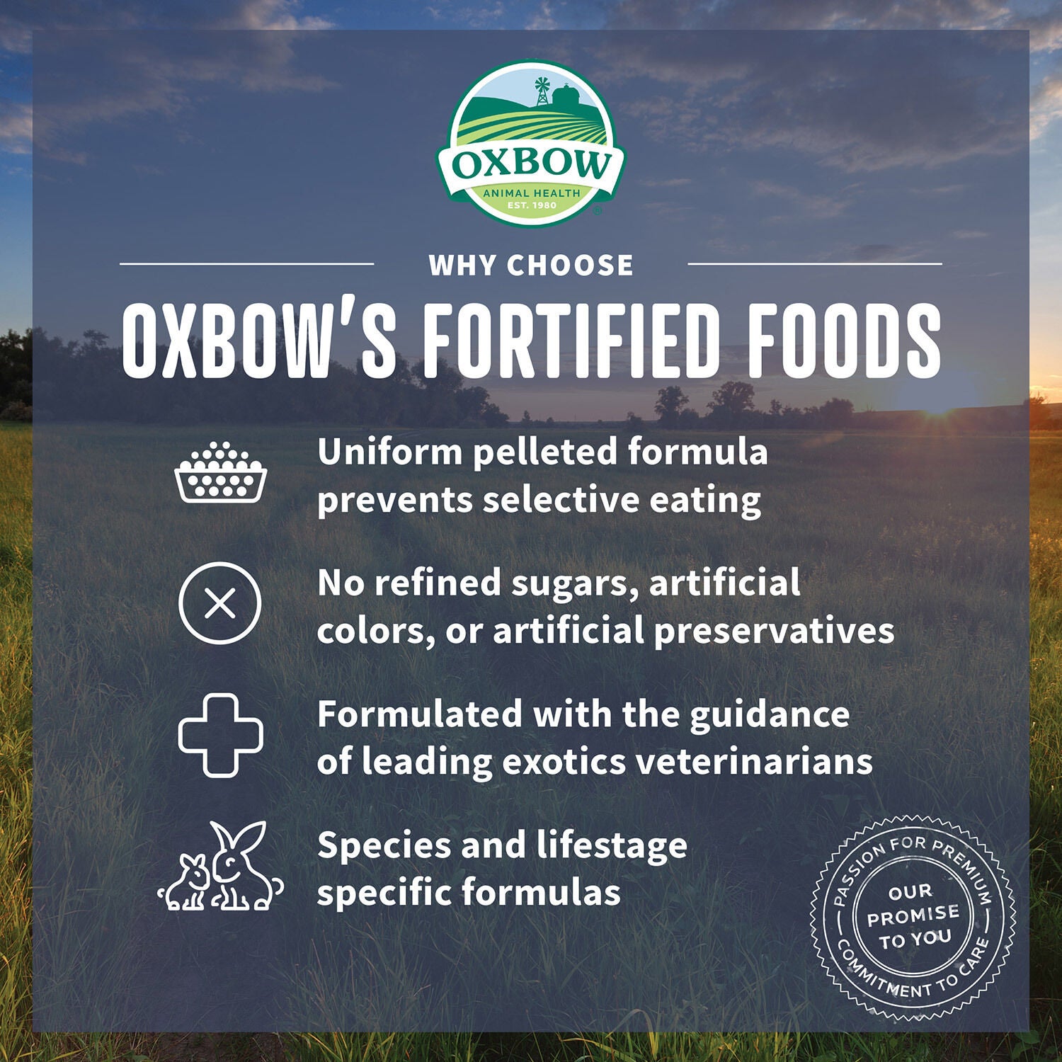 Oxbow Essentials Adult Guinea Pig Food