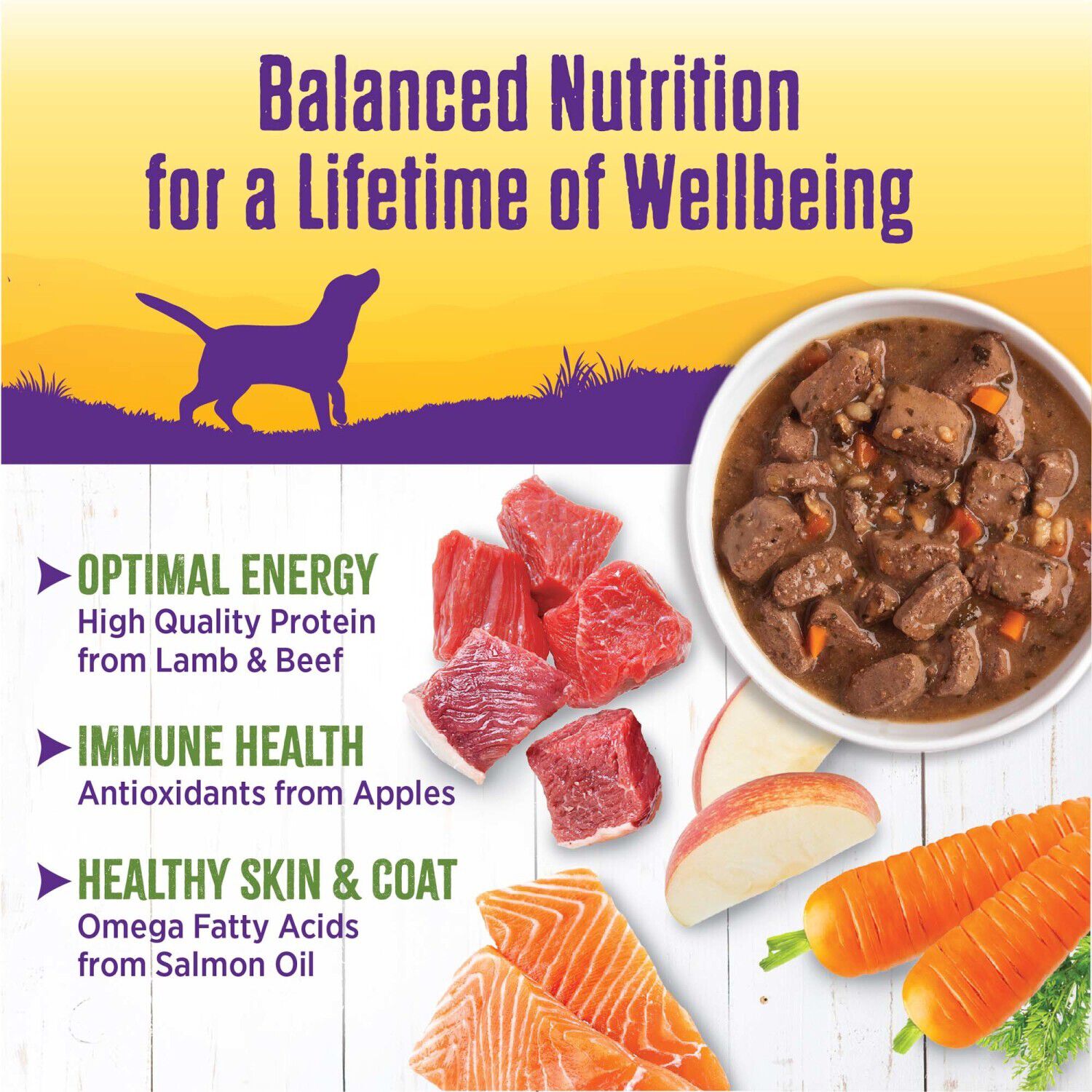 Wellness Thick & Chunky Natural Wet Dog Food, Lamb & Beef Stew, 12.5-Ounce Can