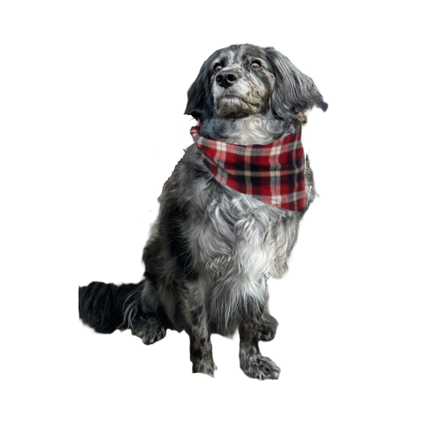 Simply Dog Red Plaid Dog Bandana, Extra Small/Small