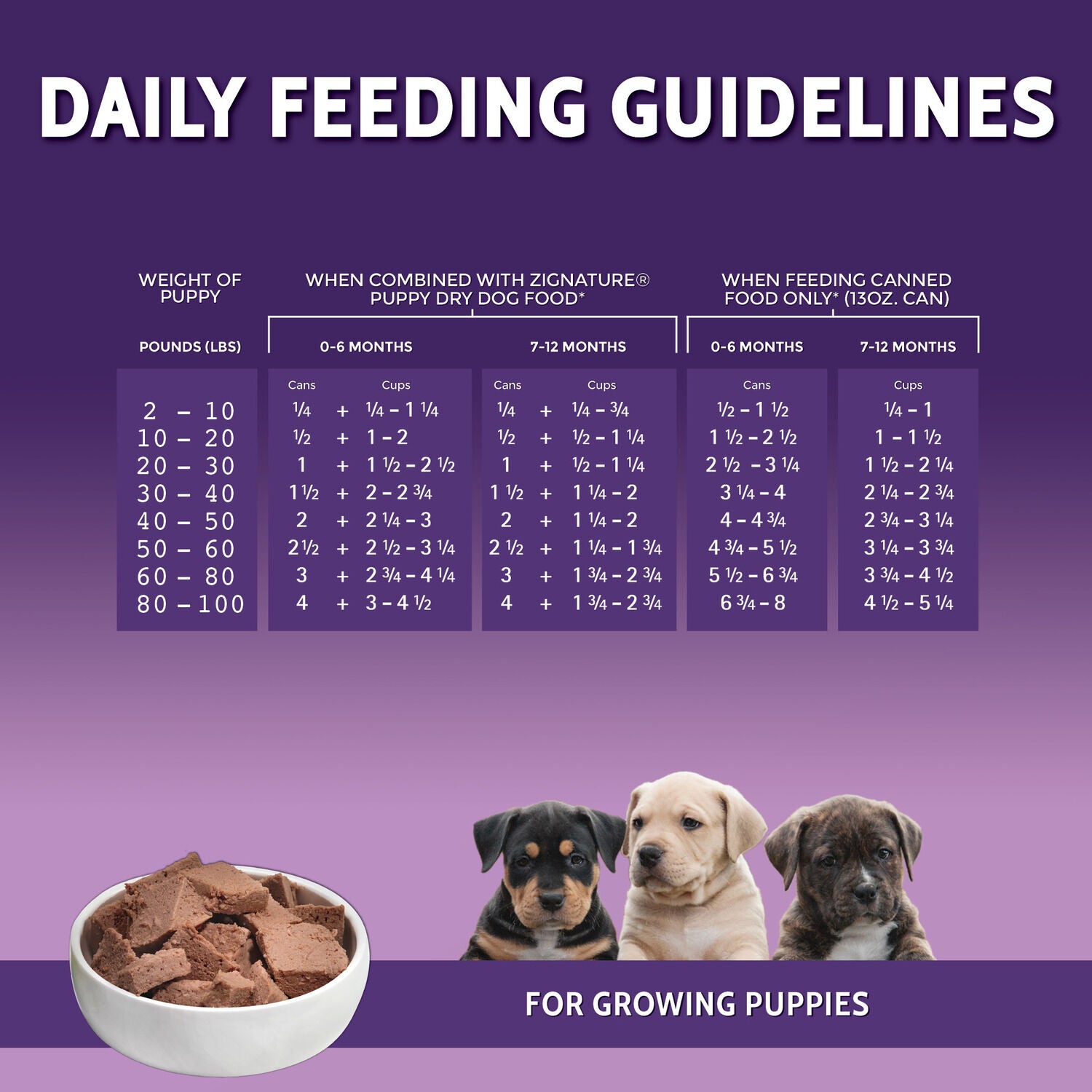Zignature Puppy Formula Wet Dog Food, 13Oz - Pack Of 12