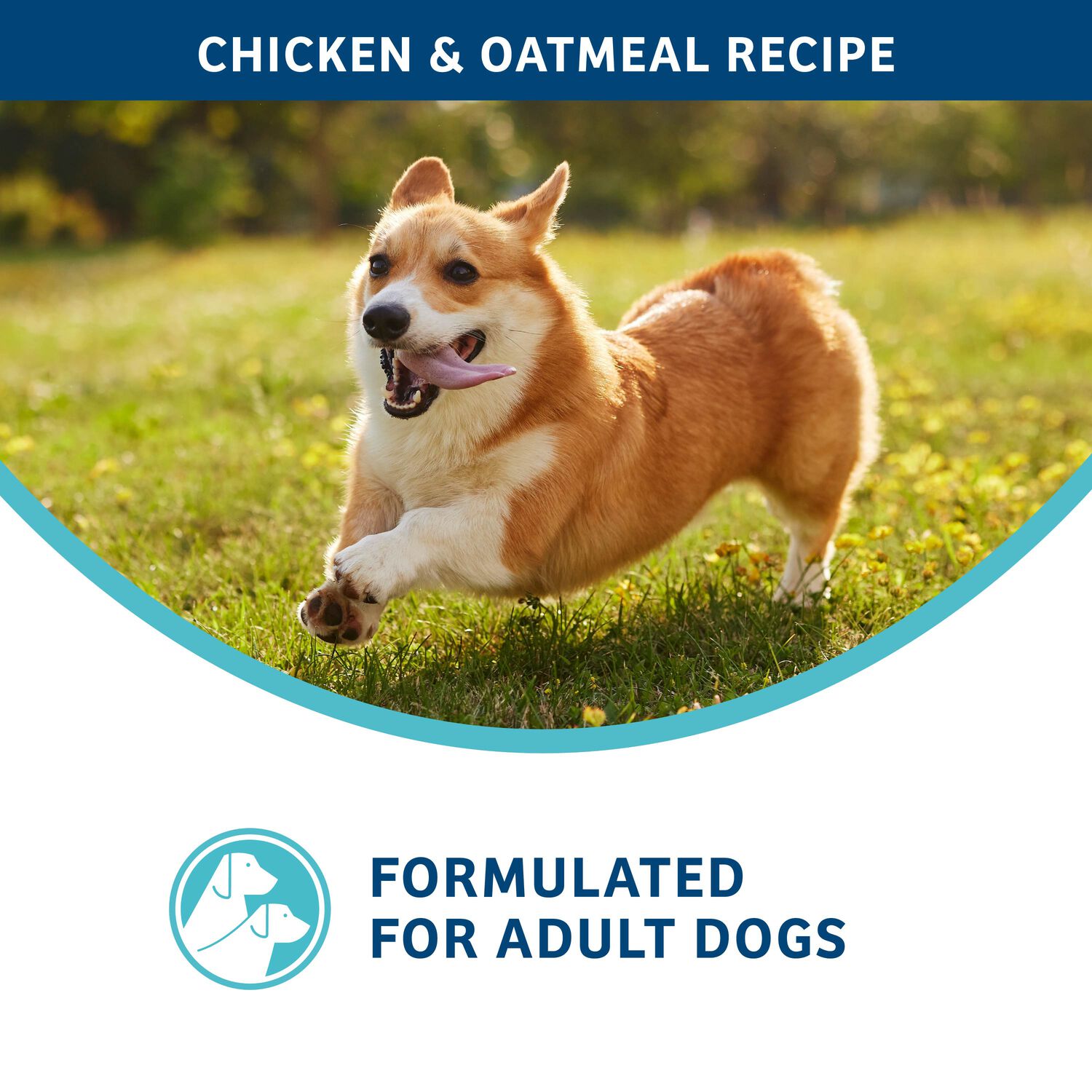 Fromm Nutritionals Digestive Support Low Fat Chicken & Oatmeal Dry Dog Food, 12-Lb Bag