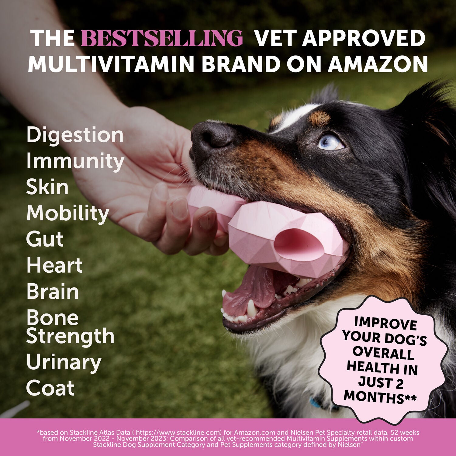 Pet Honesty Multivitamin 10-In-1 Dog Supplement Chews, Chicken Flavor, 90-Count