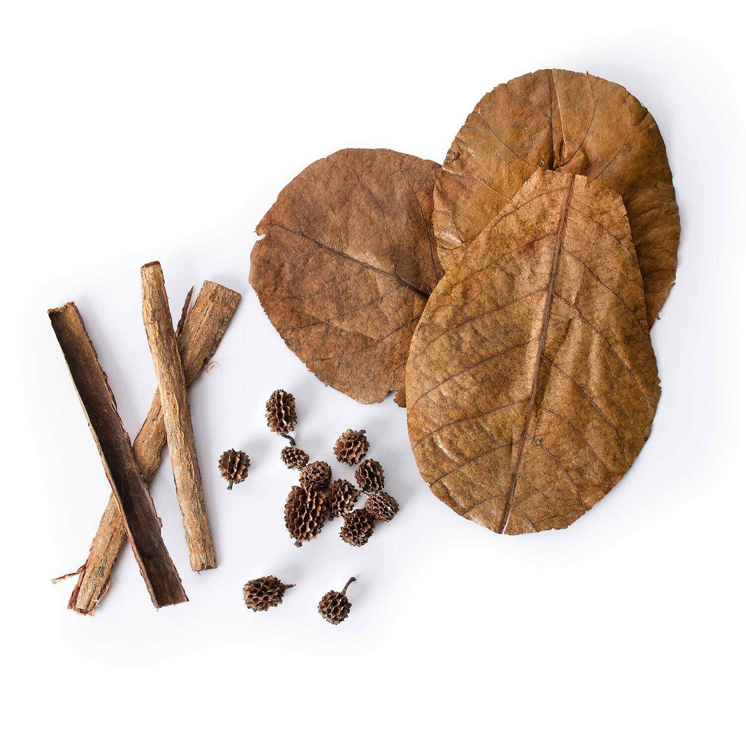 Gal&aacute;pagos Bioactive Botanicals, 9 Cones, 5 Leaves, 2 Bark