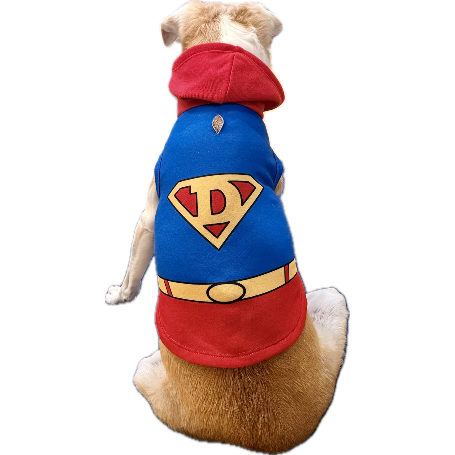 Aristopet Superhero Halloween Costume Dog Hoodie, Blue, Extra Large