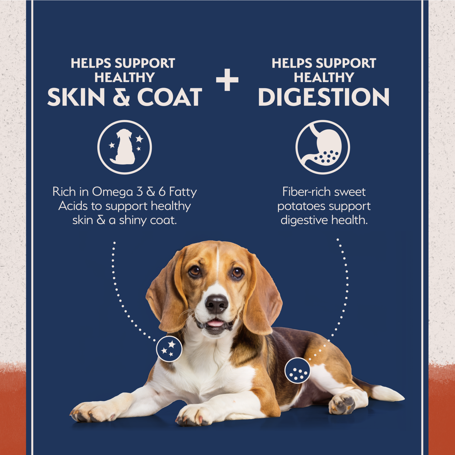 Natural Balance Limited Ingredient Grain-Free Salmon & Sweet Potato Recipe Dry Dog Food, 4-Lb Bag