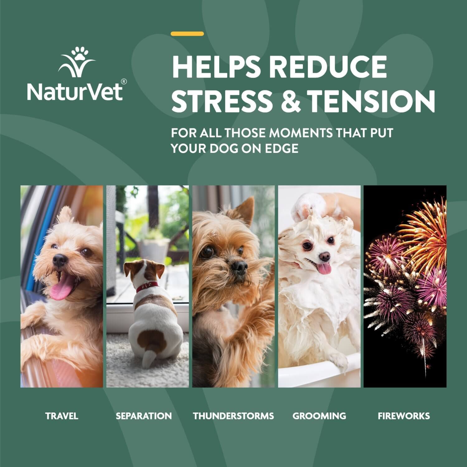 Naturvet Hemp Quiet Moments Calming Aid Soft Chews For Dogs
