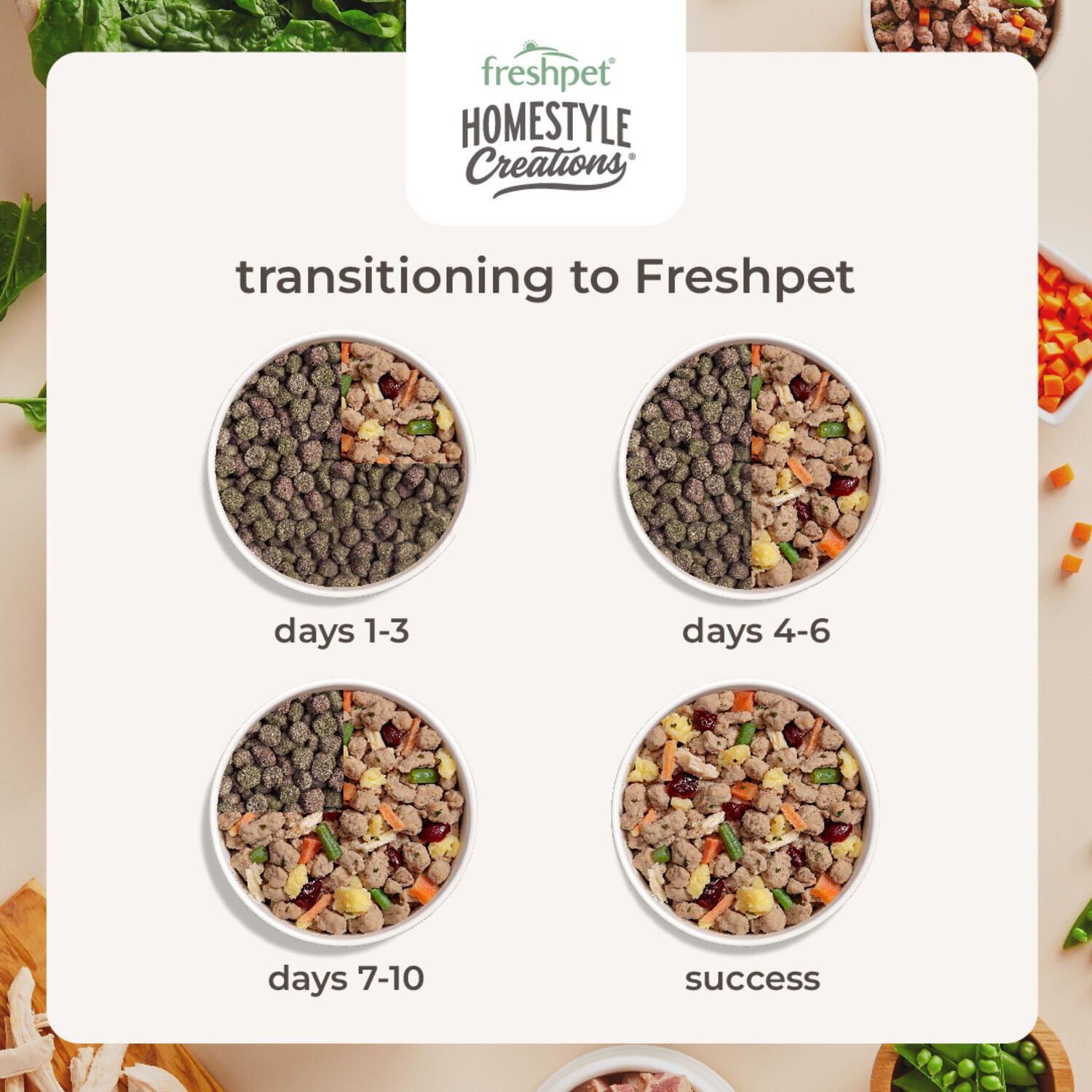 Freshpet Homestyle Creations Fresh Dog Food, Chicken & Turkey Recipe, 1-Lb Bag