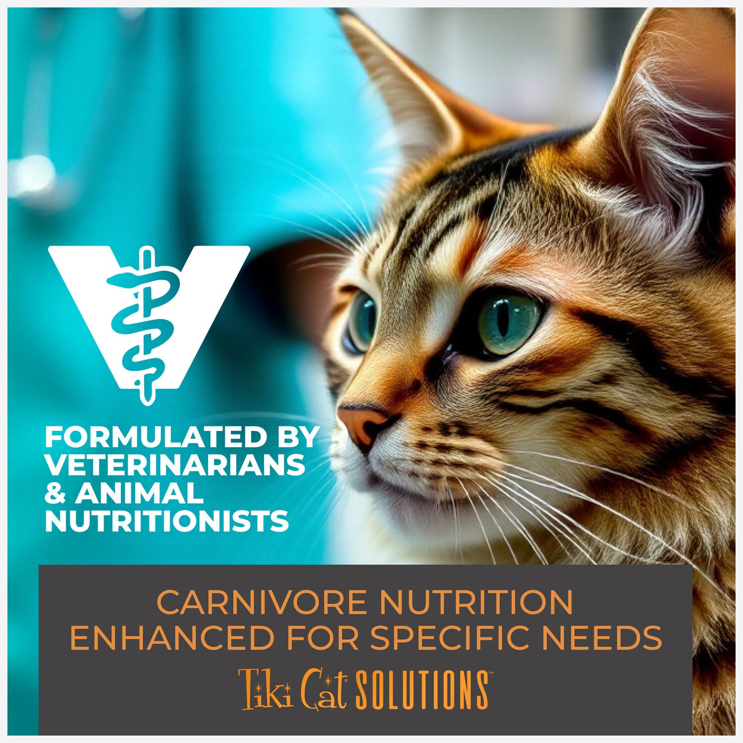Tiki Cat Solutions Dry Cat Food, Mobility, Chicken & Turkey Recipe, 2.8-Lb Bag