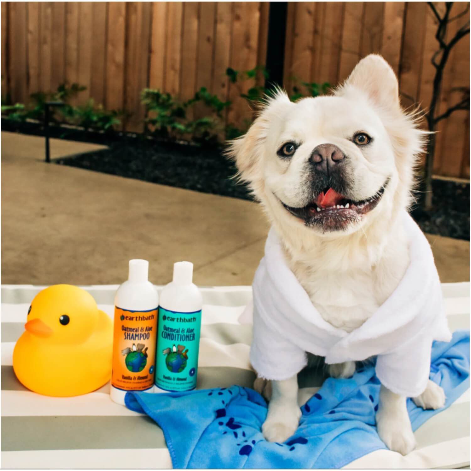Earthbath Oatmeal & Aloe Dog & Cat Shampoo, Vanilla & Almond