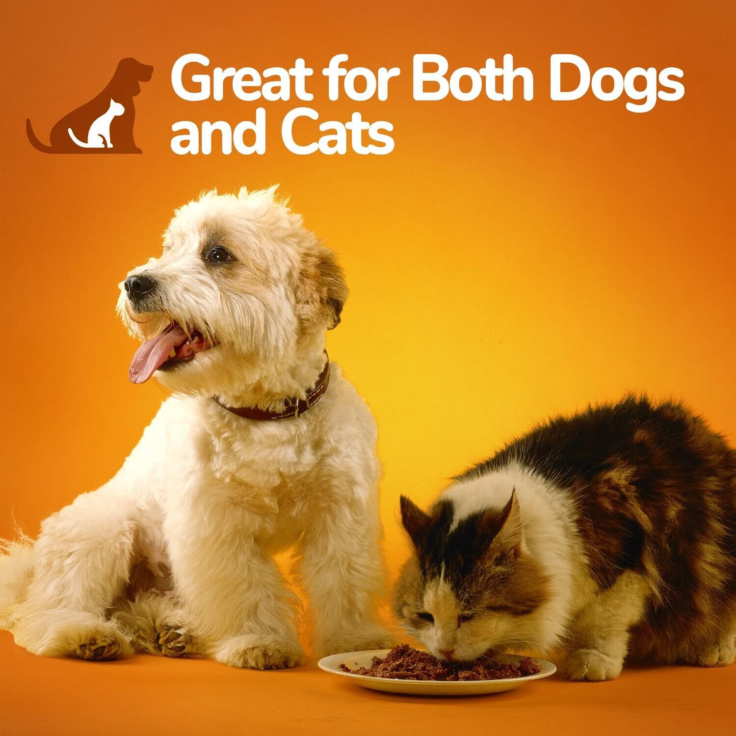 Fruitables Superblend Digestive Supplement With Pumpkin Food Topper For Dogs & Cats