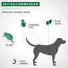 Advantage Ii Flea Treatment For Dogs, 1 10 Lbs thumbnail number 7