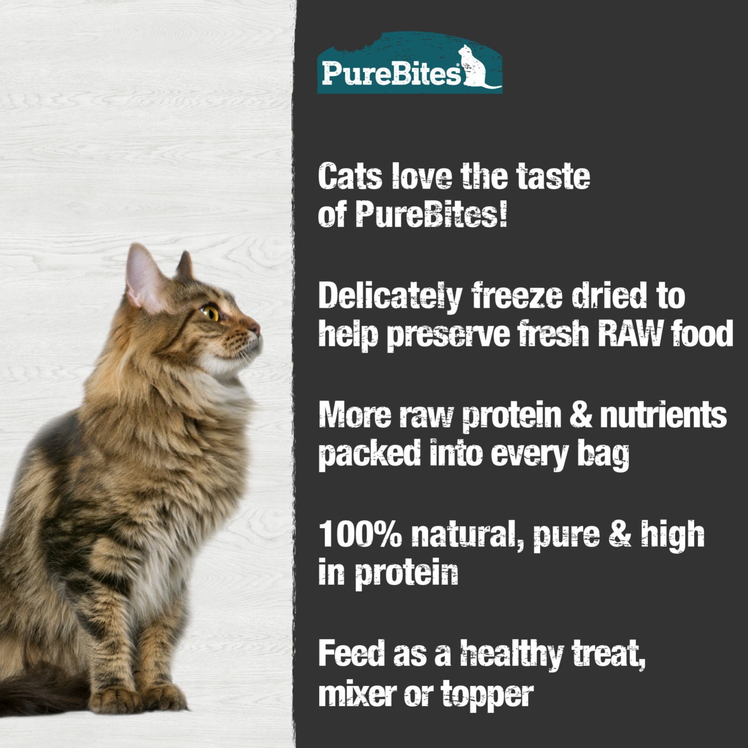Purebites Wild-Caught Minnow Freeze-Dried Cat Treats, 2.3-Oz Bag