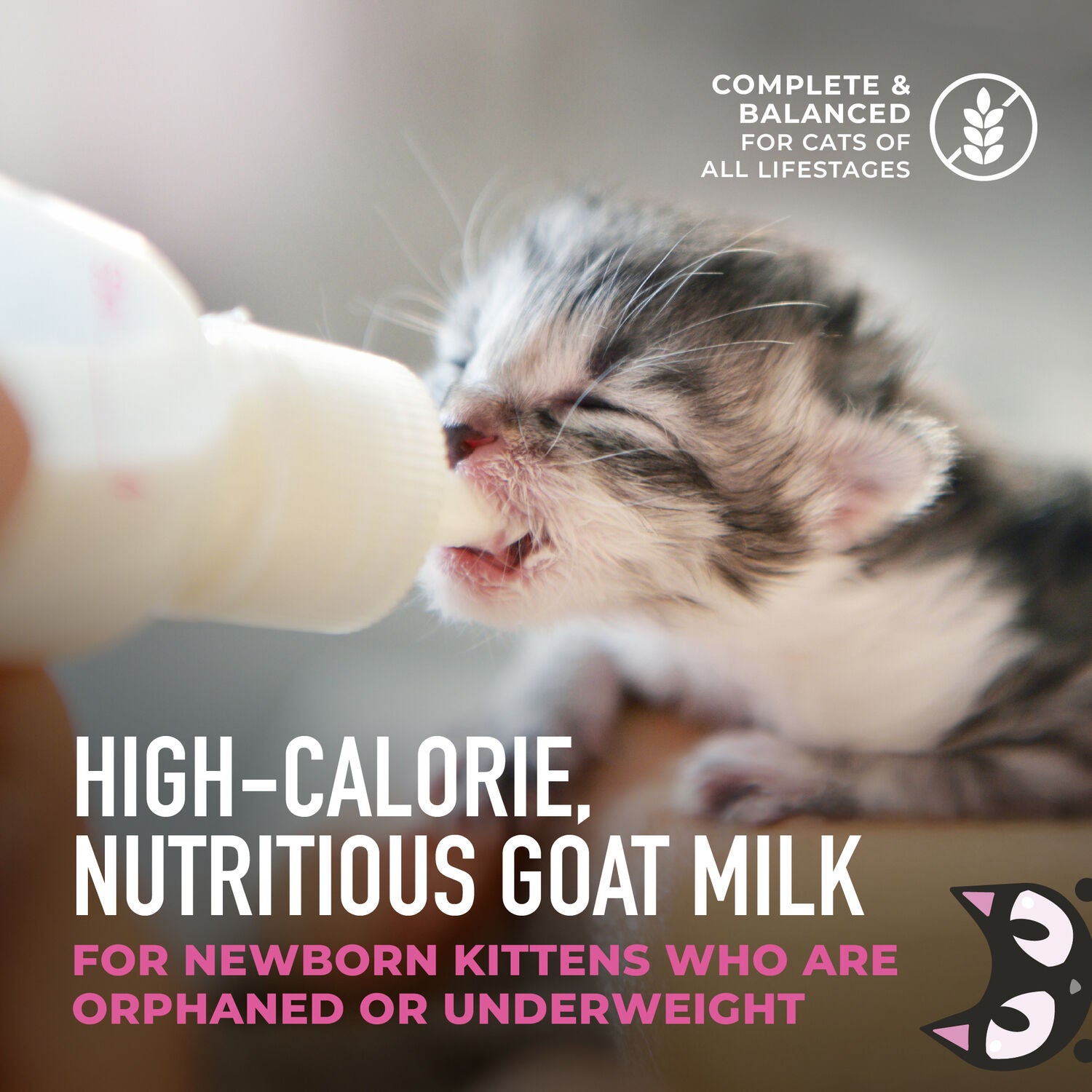 Tiki Cat Baby Milk Replacer Kitten Food, Goat Milk, 6-Oz Spout Pouch Pack Of 6