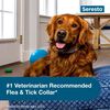 Seresto Flea & Tick Treatment & Prevention Collar For Dogs, Over 18 Lbs