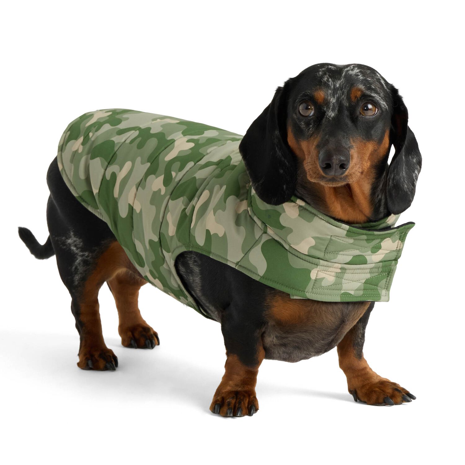 Aristopet Reversible Camo Puffer Dog Jacket, Extra Large