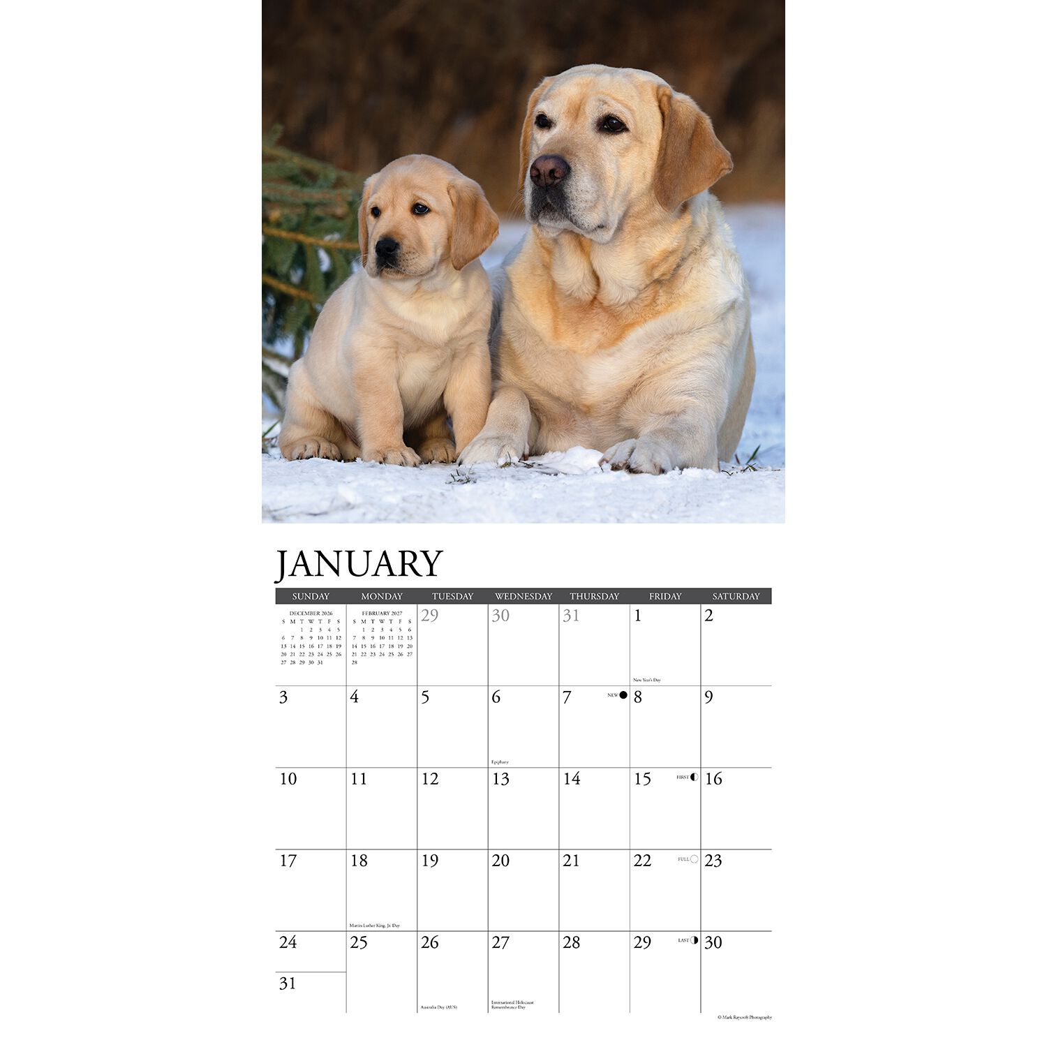 Willow Creek Press Just Labs 2027 Wall Calendar