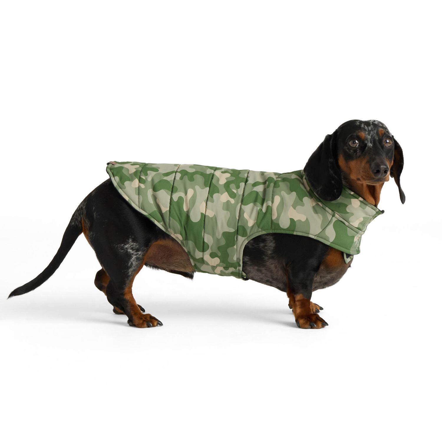 Aristopet Reversible Camo Puffer Dog Jacket, Extra Large