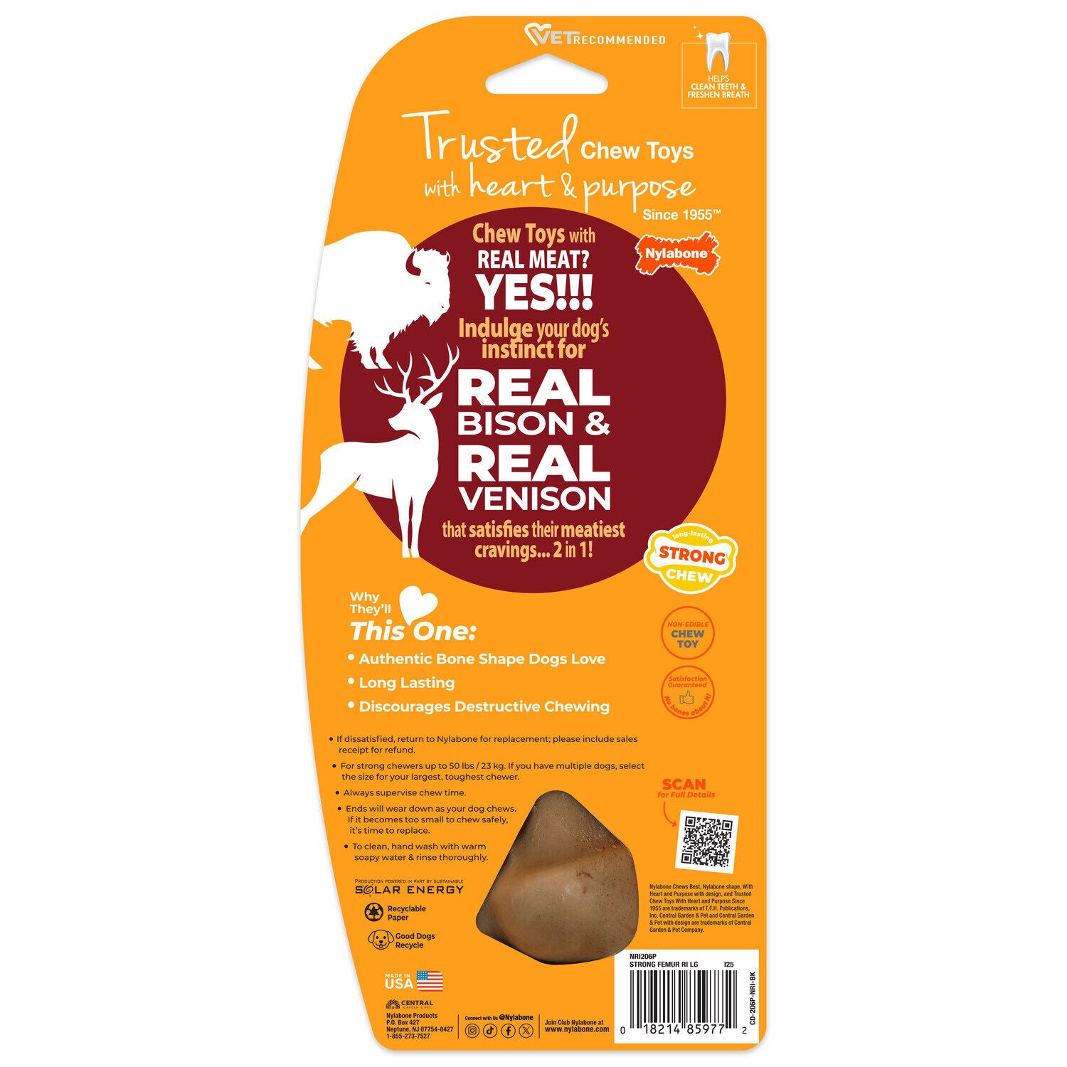 Nylabone Strong Chew Femur Bone Bison & Venison Flavor Dog Chew Toy, Small