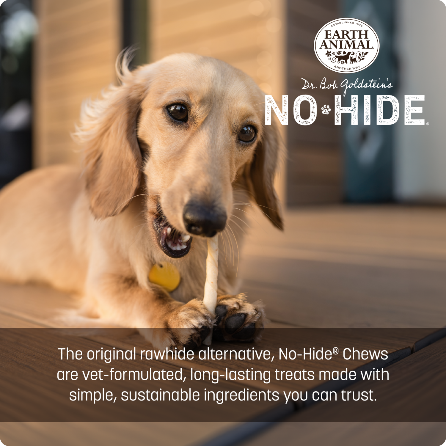 Earth Animal No-Hide Rawhide Alternative Dog & Cat Treat Stix, Wild Caught Salmon, 10 Pack