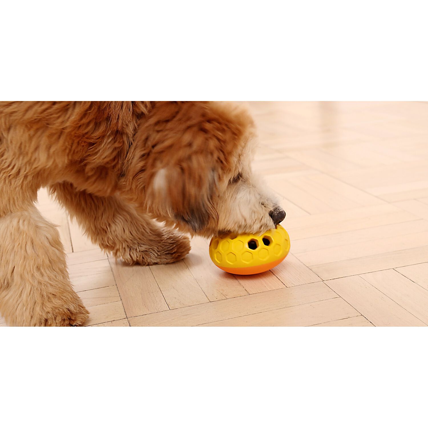 Tall Tails Natural Rubber Bee Hive Interactive Treat Dispensing Dog Toy, 5"