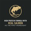 Essentials Salmon & Rice Formula Dog Food thumbnail number 15