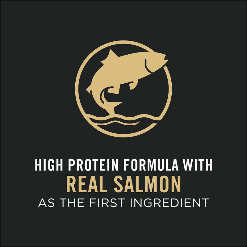 Essentials Salmon & Rice Formula Dog Food image number 15