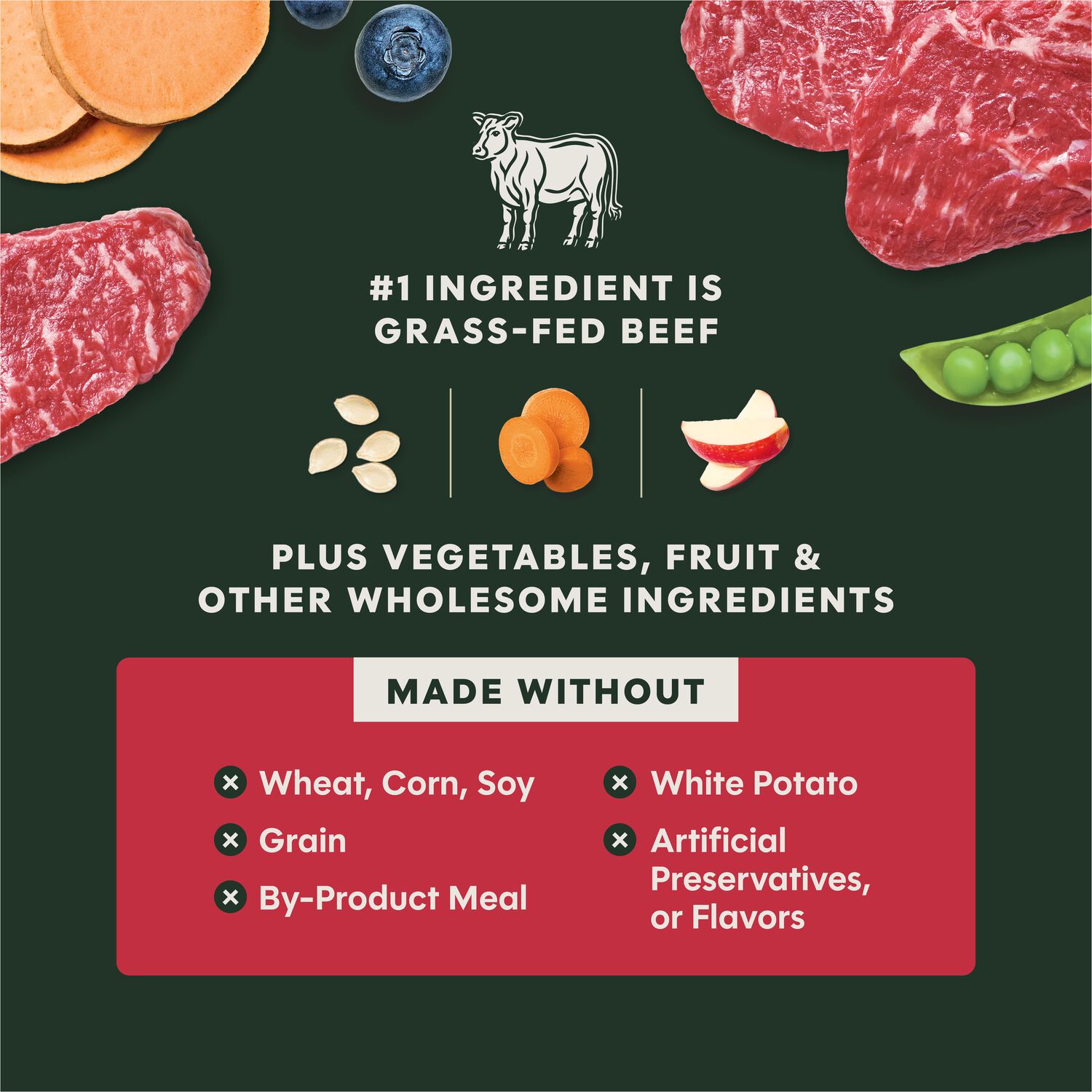 Instinct Raw Boost Grain-Free Recipe With Real Beef Dry Dog Food, 3.5-Lb