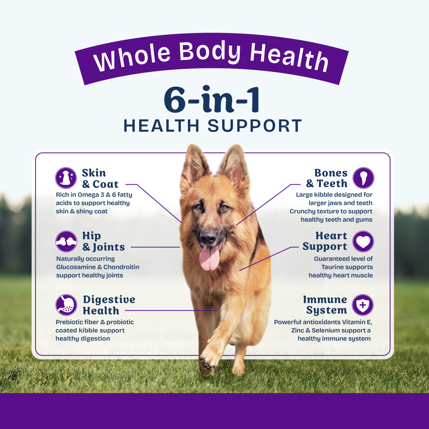Natural Balance Health Protection Large Breed Dry Dog Food, Salmon & Rice Recipe, 26-Lb Bag