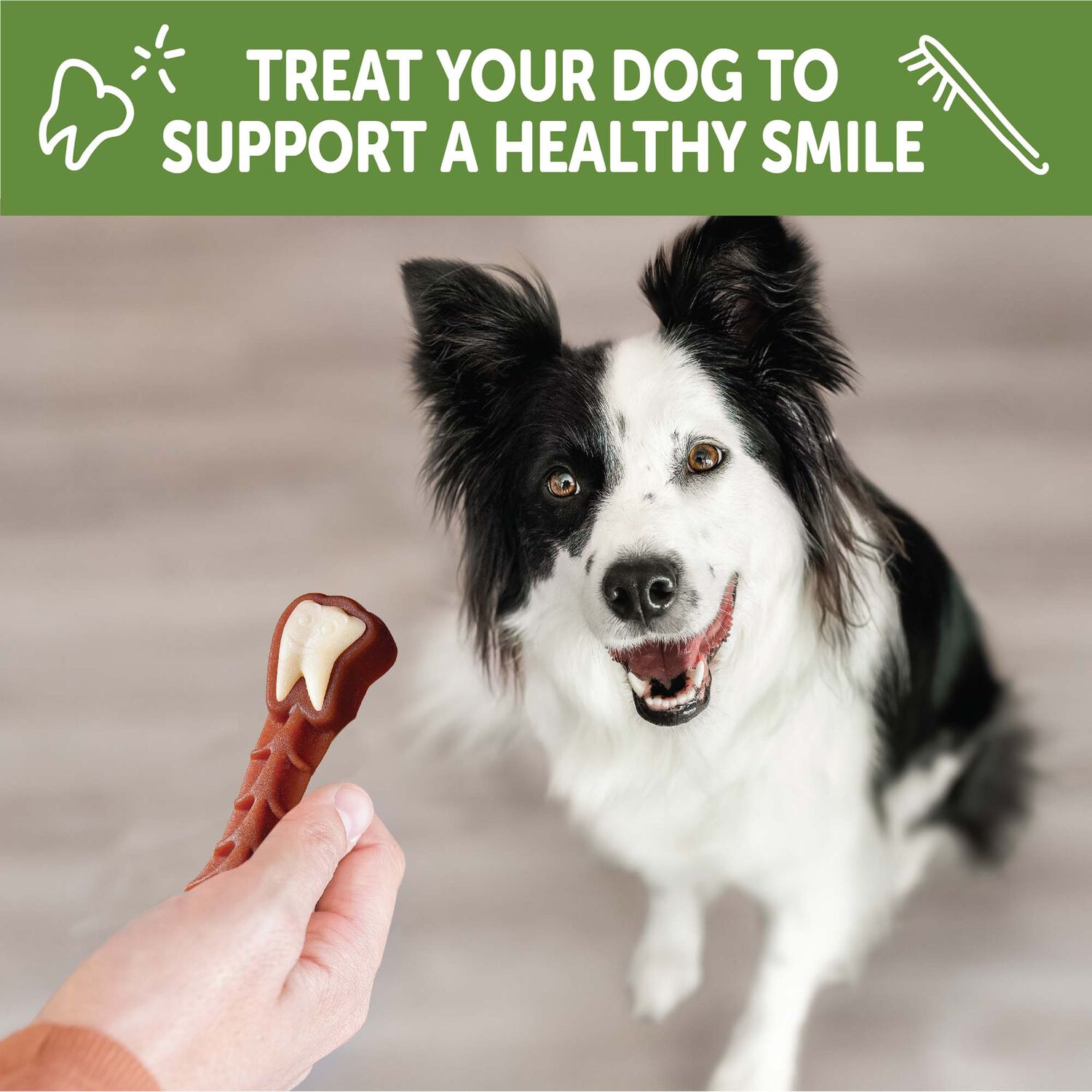 Whimzees By Wellness Natural Dental Chews Dog Treats, Medium, 44 Count