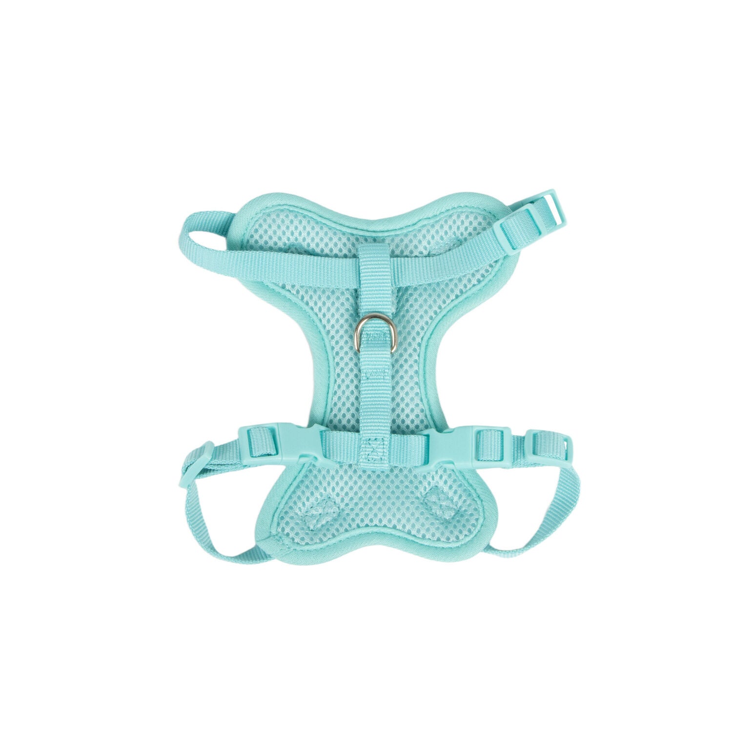 Bailey & Bella Pink & Blue Food Icons Cat Harness & Leash Set