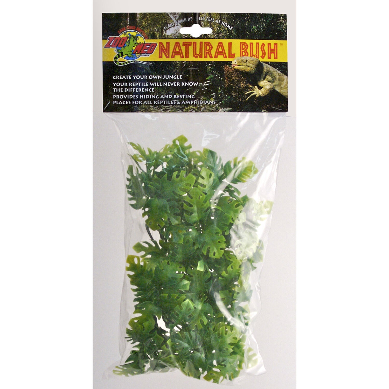 Natural Bush Plants - Amazonian Phyllo For Reptile Enclosures