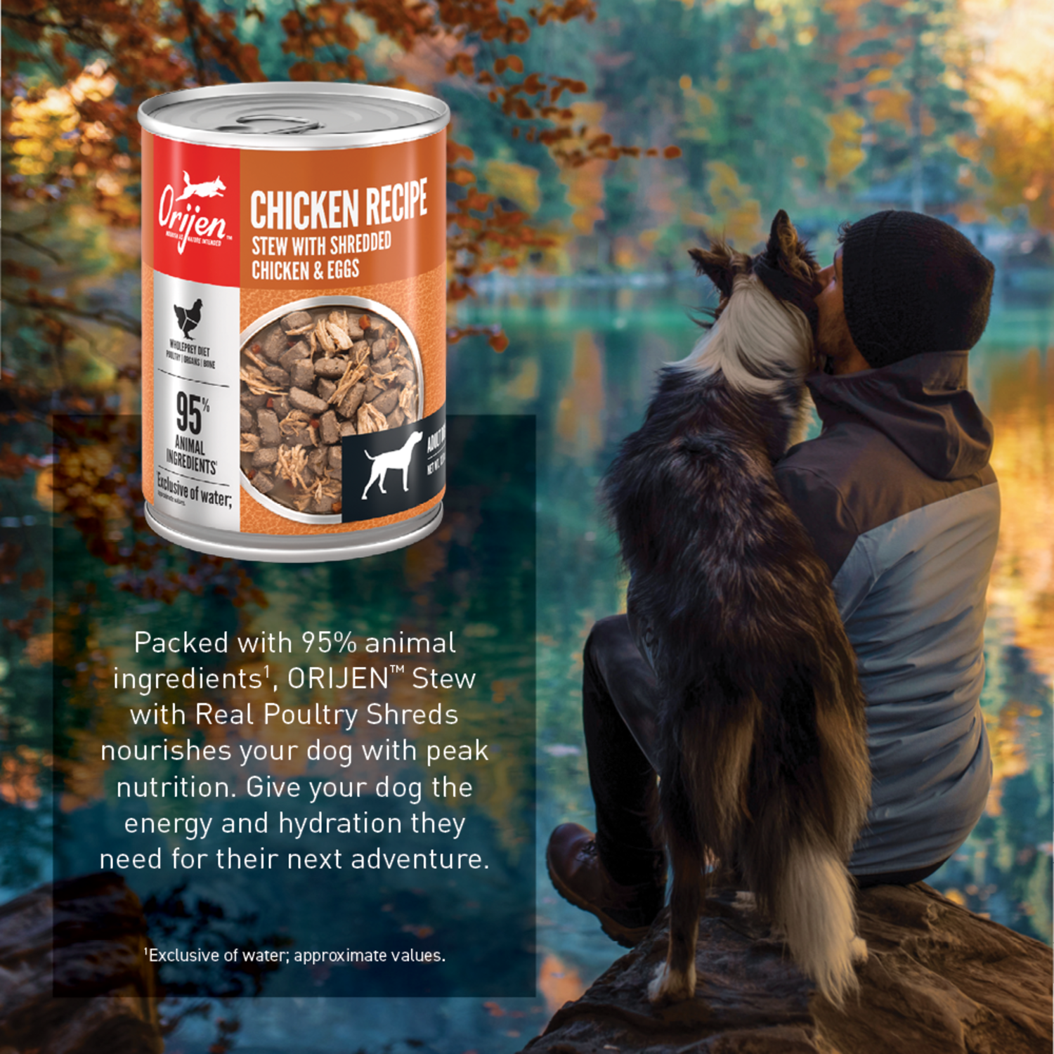 Orijen Chicken Recipe Stew With Shredded Chicken & Eggs Wet Dog Food, 12.8-Oz 12-Pack