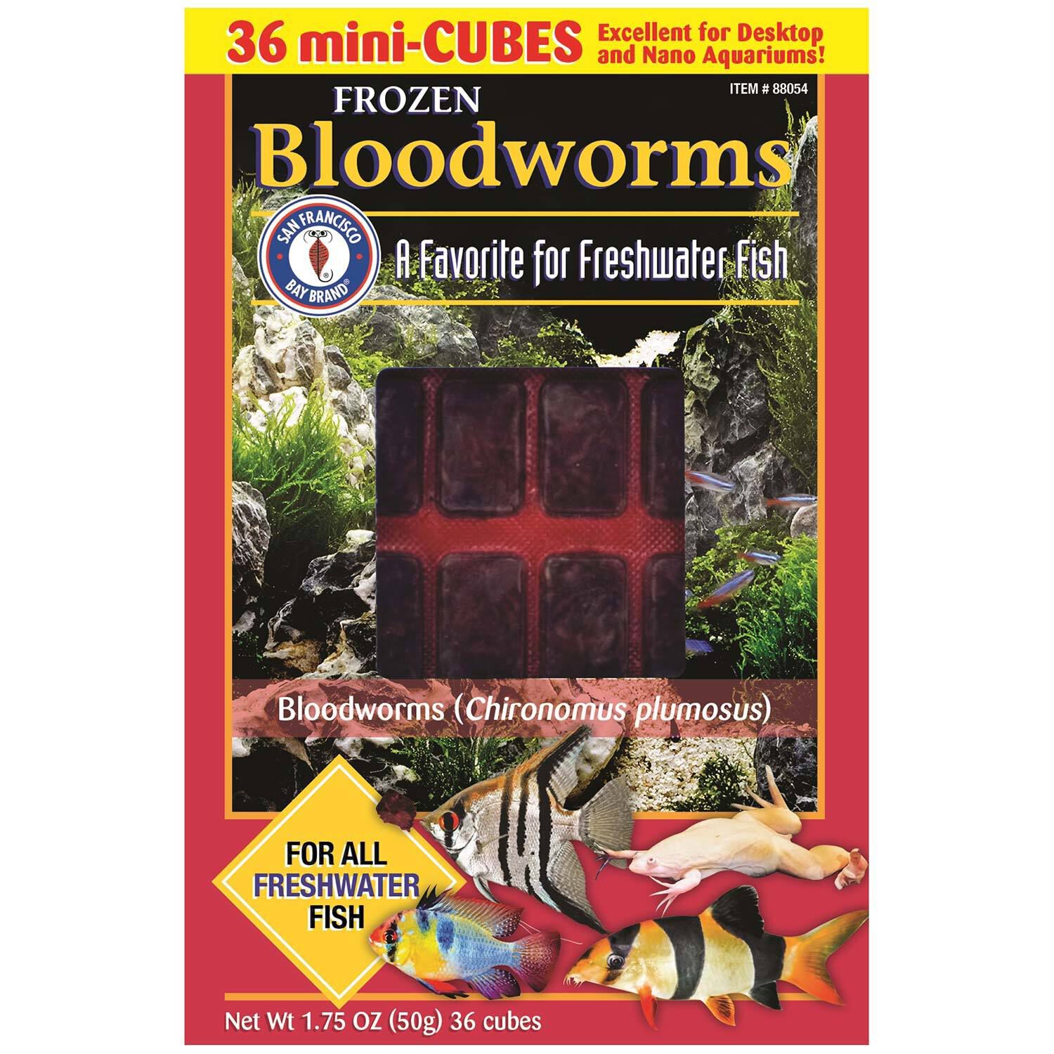Frozen Bloodworms Cubes Fish Food