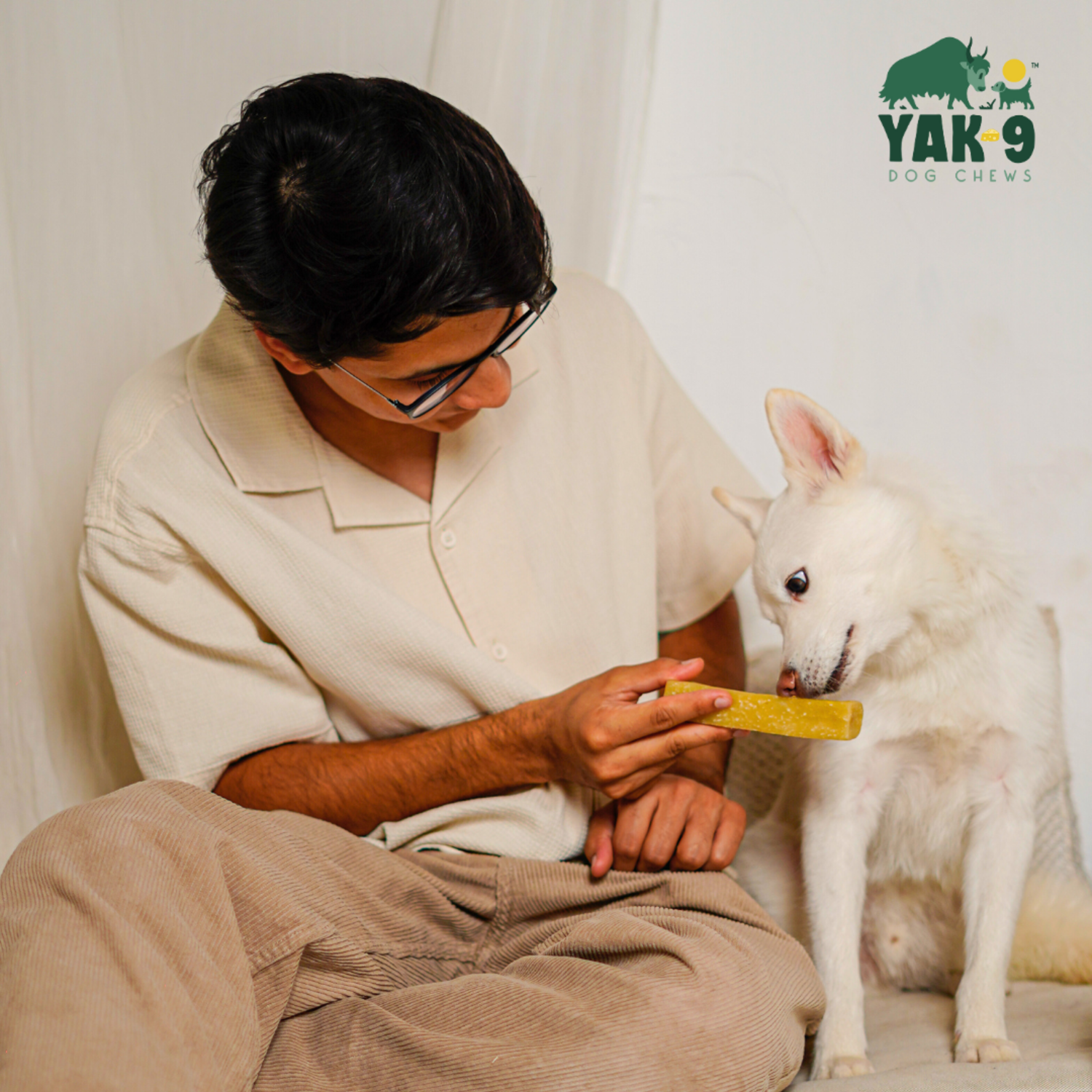 Yak9 Chews Natural Yak Cheese Chews Dog Treats, Coconut, Large, 1-Each