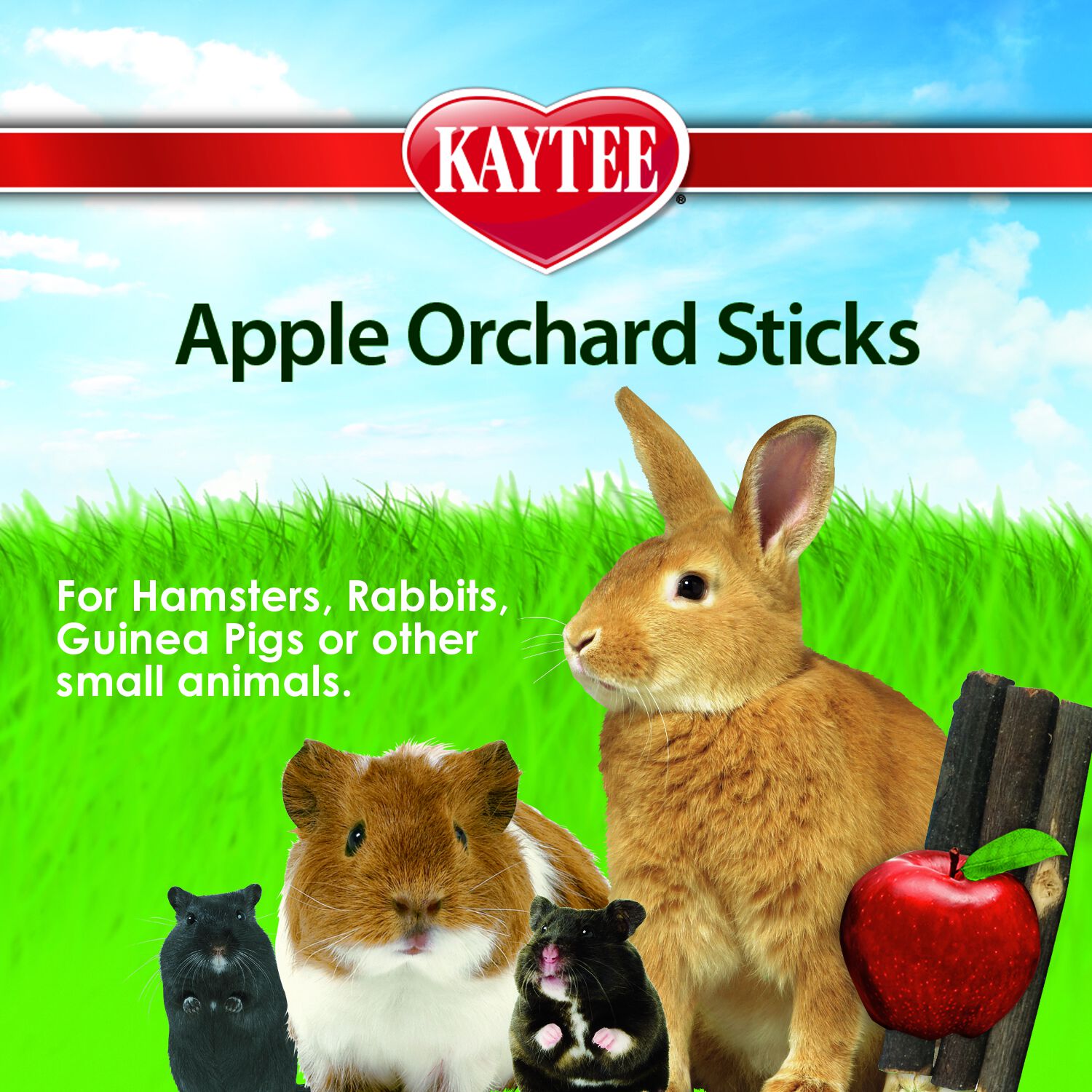 Kaytee Apple Orchard Sticks Small Animal Chew Treat, 10-Count