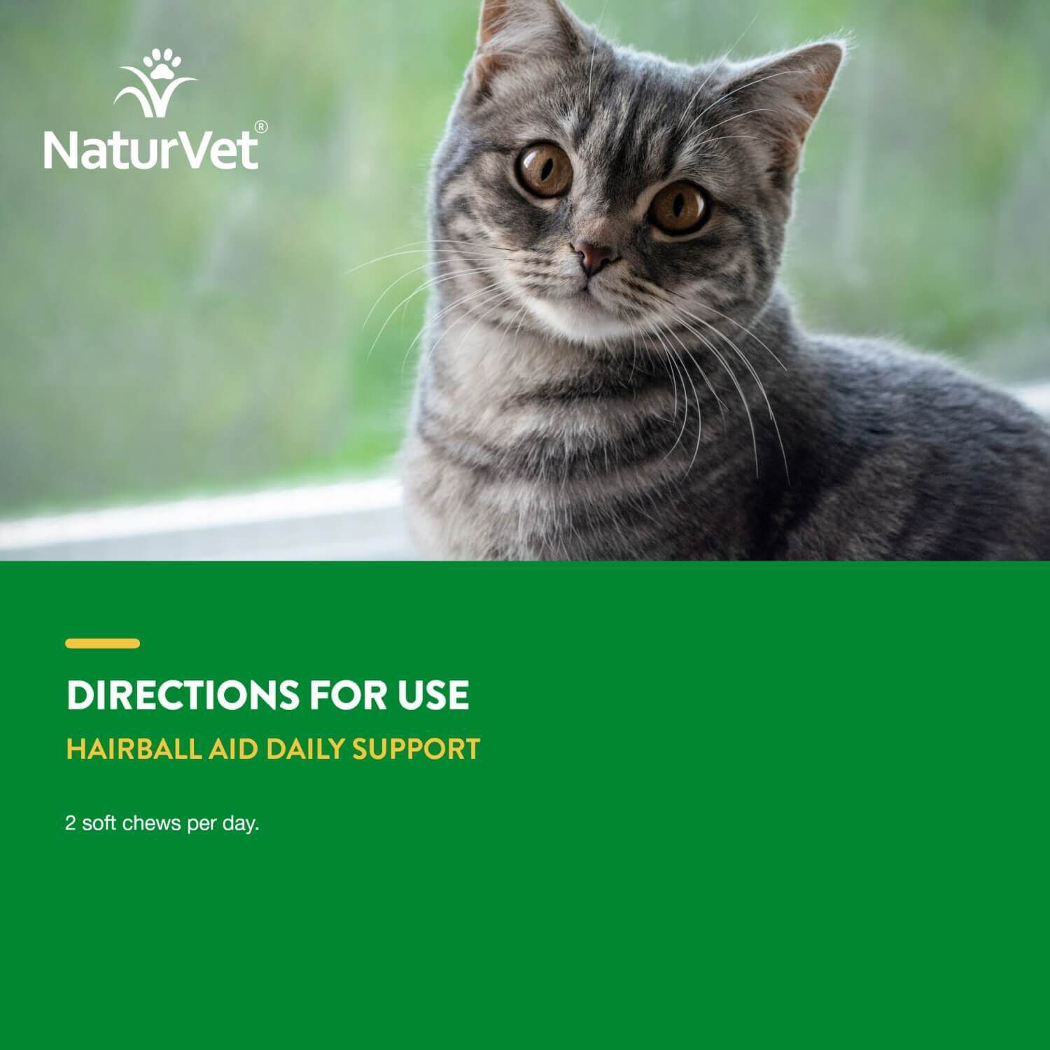 Naturvet Hairball Aid Daily Support + Pumpkin Soft Chew Supplement For Cats, 60Ct
