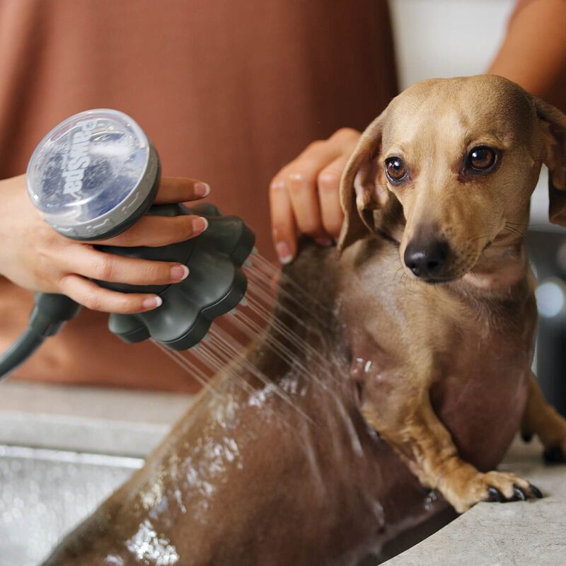 Shampooch Pro 5 Spray Water Sense Pet Washer