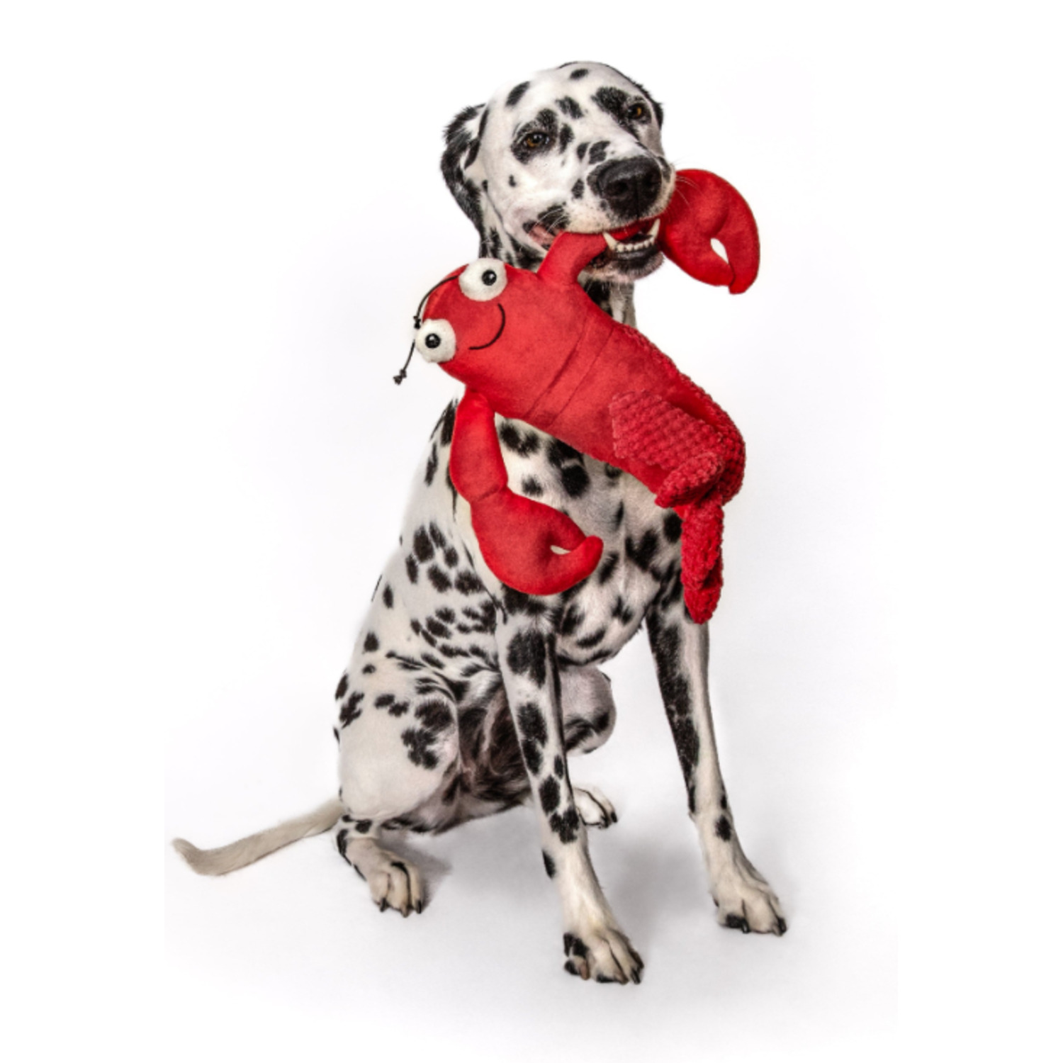 Fabdog Floppy Lobster Plush Squeaky Dog Toy, 7.5"