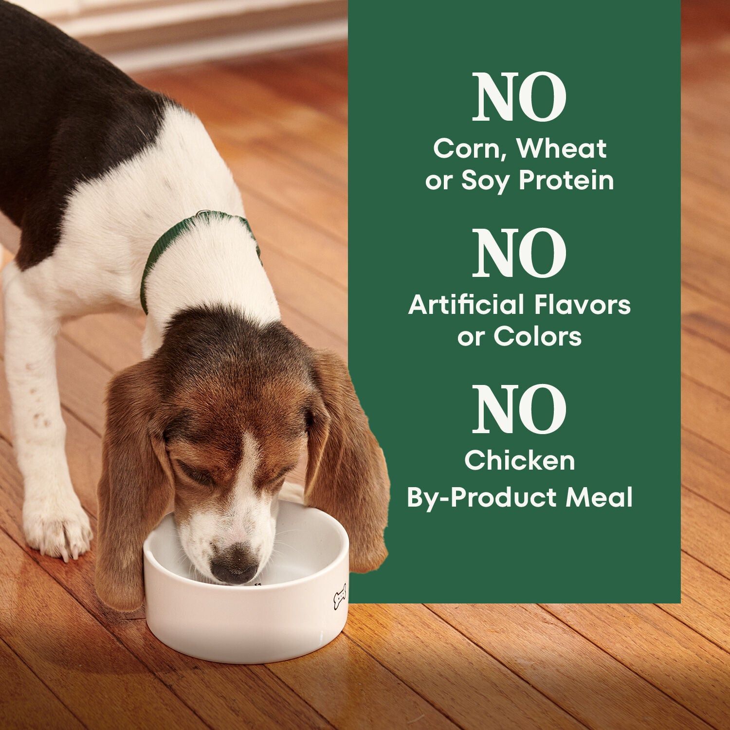 Nutro Natural Choice Puppy Chicken & Brown Rice Recipe Dry Dog Food, 5-Lb. Bag