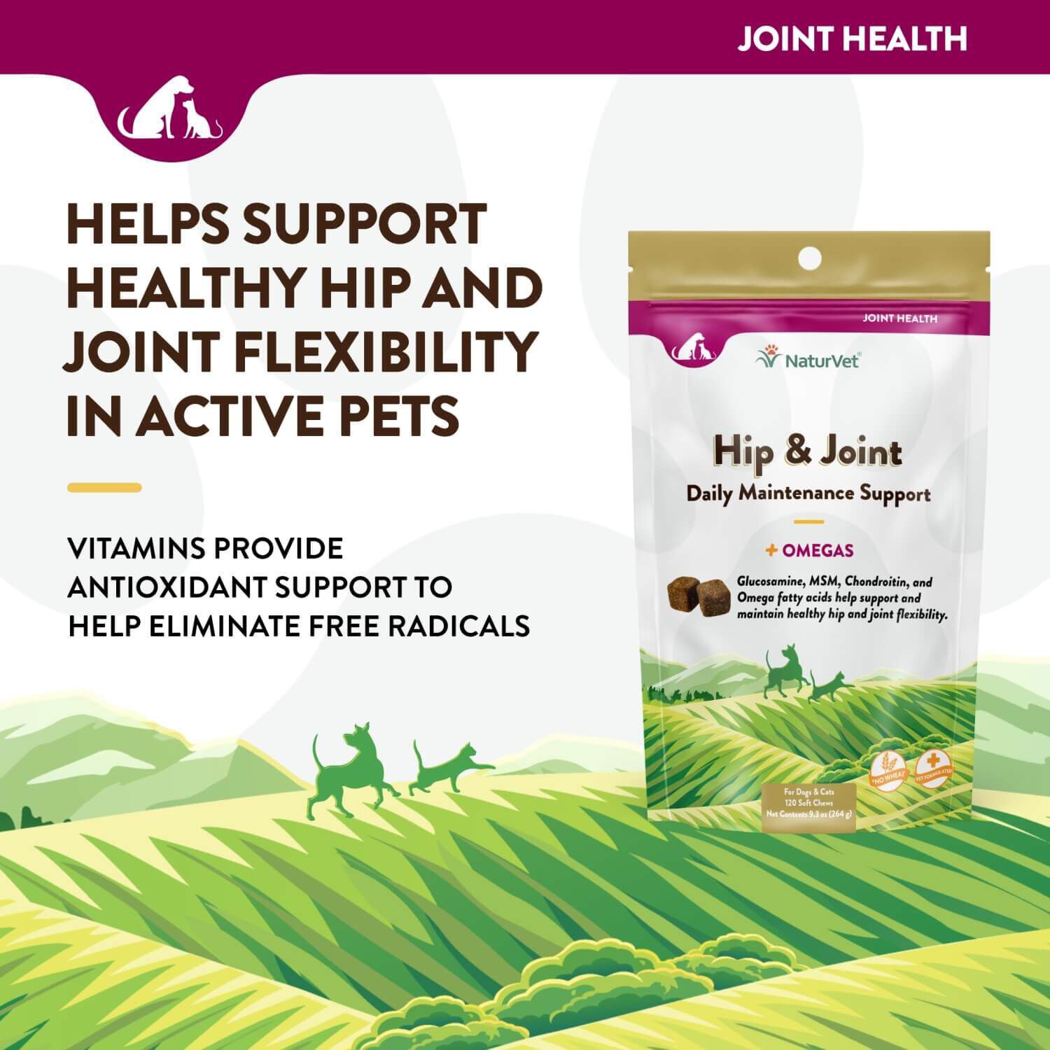 Naturvet Hip & Joint +Omegas Daily Maintenance Support Dog & Cat Soft Chews Supplements