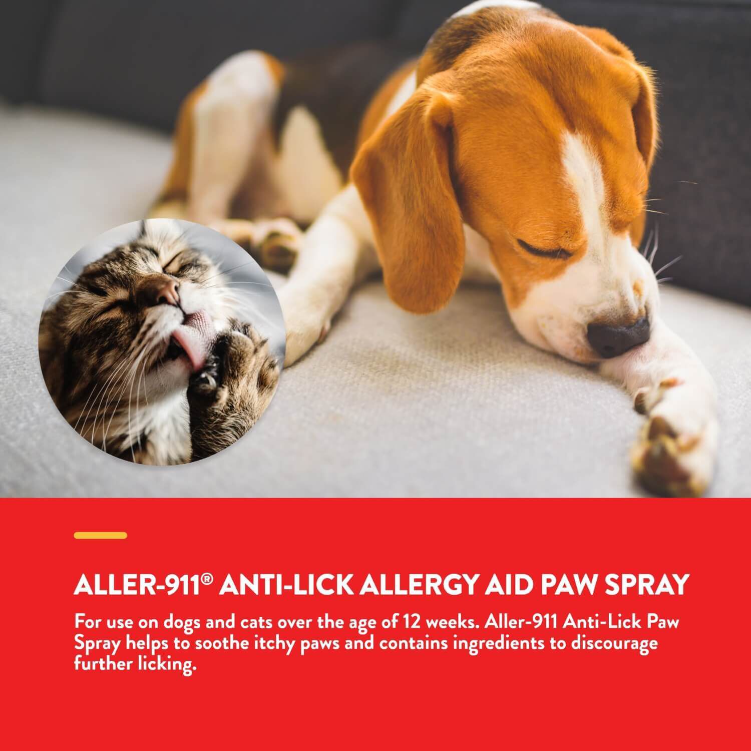 Anti licking top spray for cats