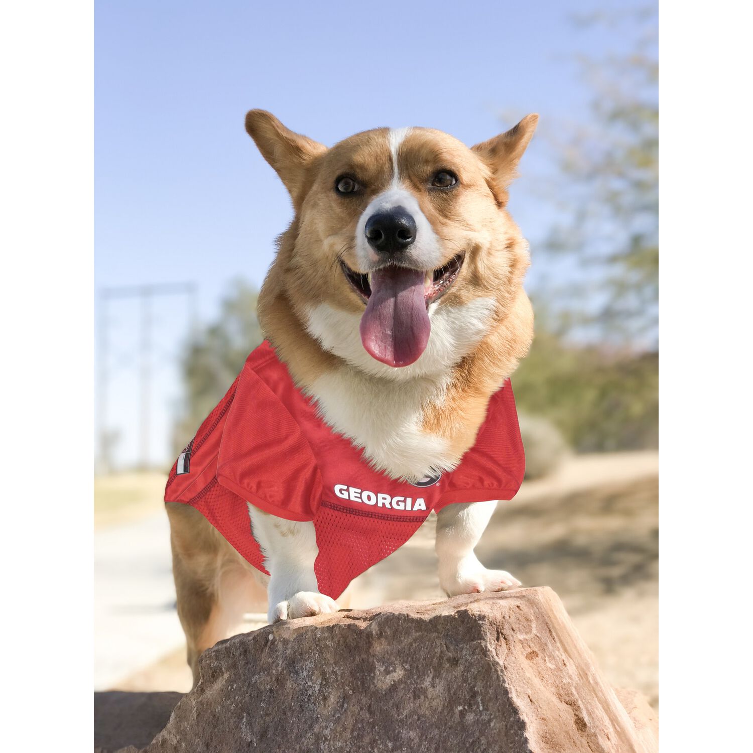 Pets First University Of Georgia Bulldogs Dog Jersey, Small