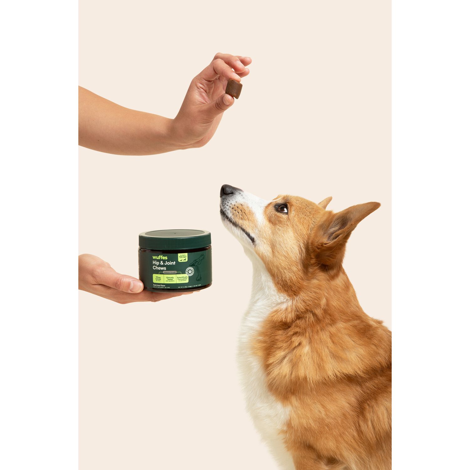 Wuffes Advanced Strength Hip & Joint Support Supplement Small/Medium Breed Dog Chews, 5.29-Oz - 50 Count