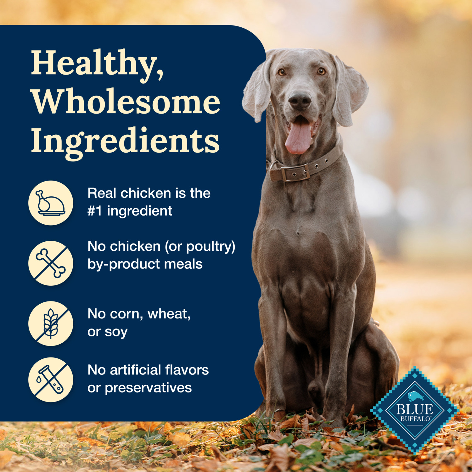 Blue Buffalo Blue Delectables Tasty Chicken Cuts In Gravy Natural Wet Dog Food Topper, 3-Oz - Pack Of 24