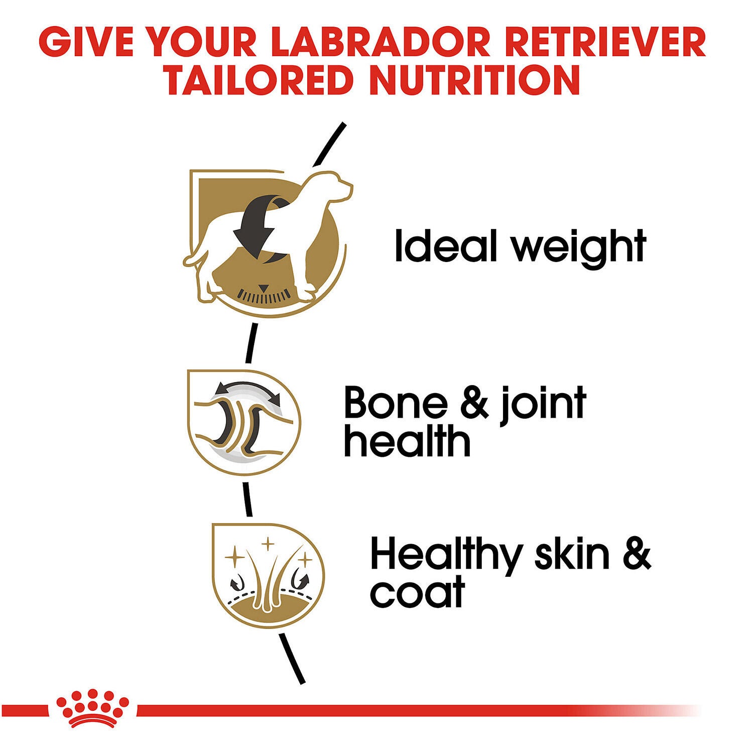 Royal Canin Breed Health Nutrition Labrador Retriever Adult Dry Dog Food, 30Lb