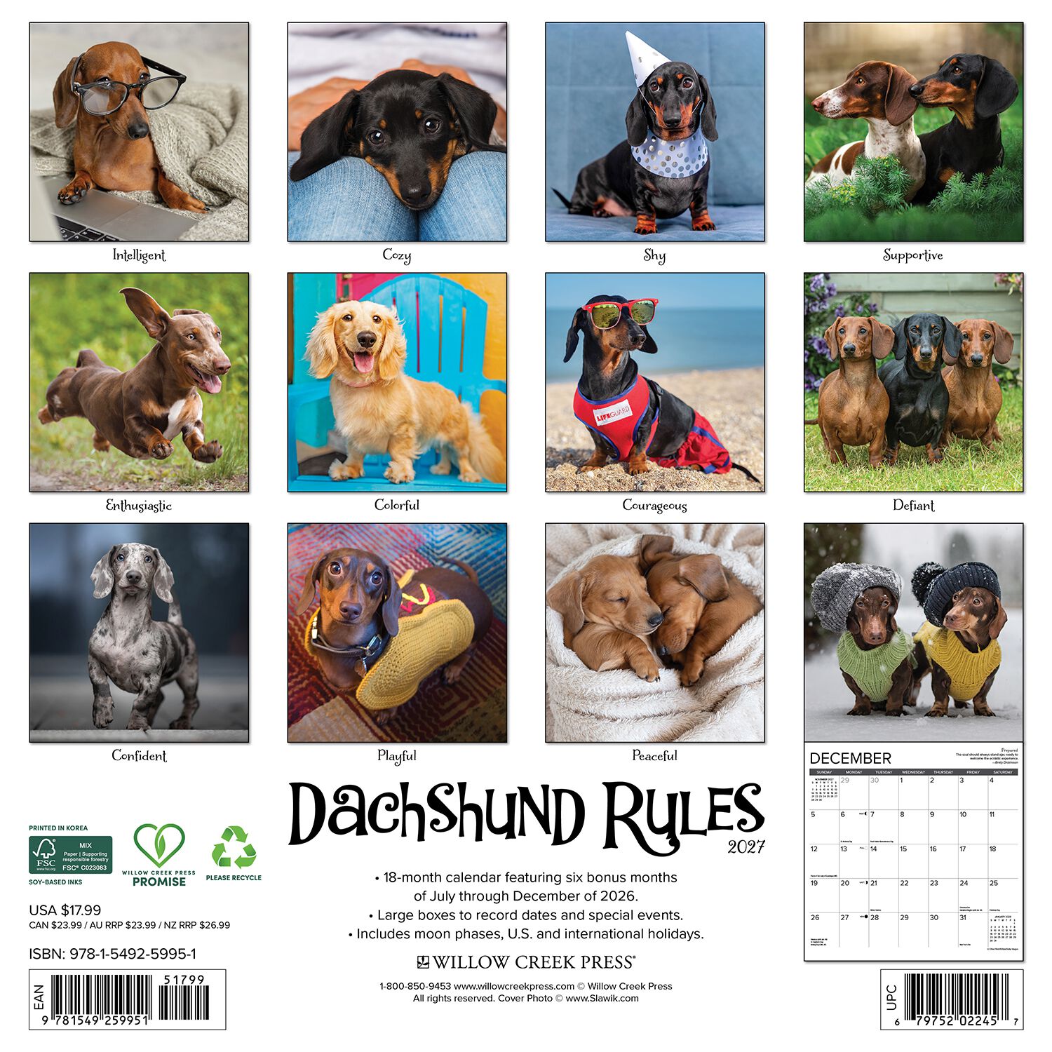 Willow Creek Press Dachshund Rules 2027 Wall Calendar